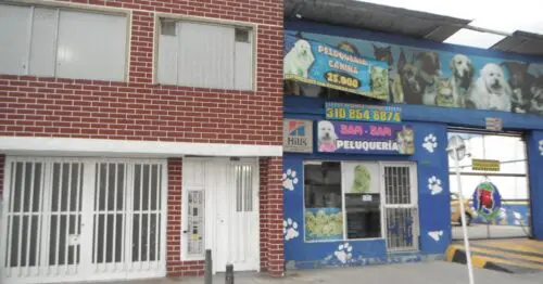 BAM BAM PELUQUERIA BAM BAM PELUQUERIA